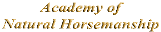 text image of Academy of Natural Horsemanship