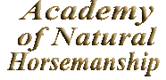 Text image "Academy of Natural Horsemanship"