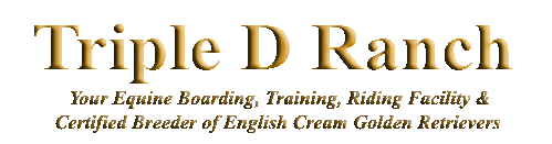 Logo with Triple D Ranch description